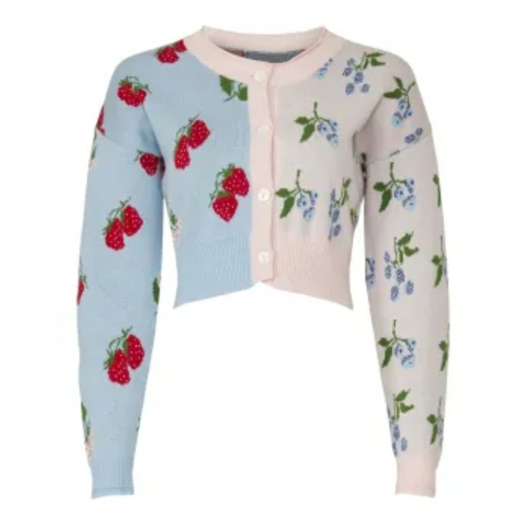 Rachel Antonoff Sweaters - Rachel Antonoff Blake Berry Button Down Crop Colorblock Knit Cardigan L